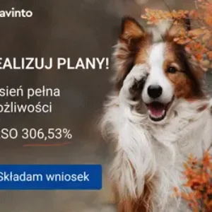 Chwilówka – Avinto