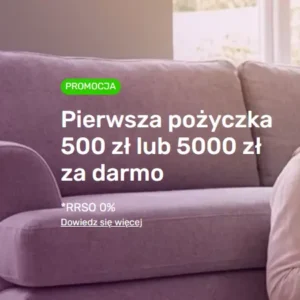 Chwilówka przez internet na 30 dni - Eksprespożyczka