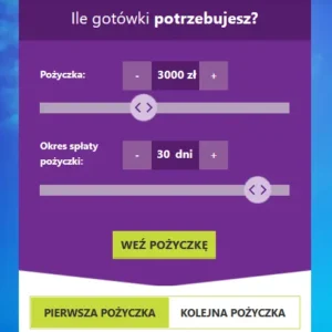Szybka pożyczka online przez internet – Feniko