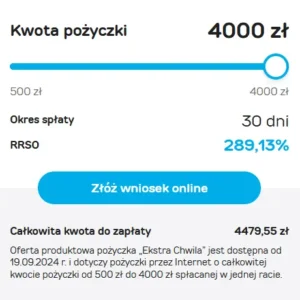 Pożyczka przez Internet Ekstra Chwila - Provident Polska