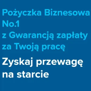 Pożyczka Biznesowa Online – Visset