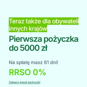 Pożyczka dla obcokrajowców – Vivigo