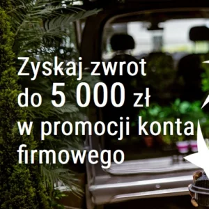 Konto firmowe BNP Paribas Bank, zwrot do 5000 zł promocja - 0 zł za rachunek bankowy i kartę Mastercard