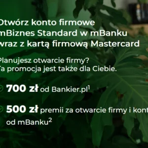 Konto firmowe online mBiznes Standard w banku mBank, premia 1200 zł, karta dla firm Mastercard