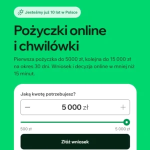 Wandoo – chwilówka przez internet ze spłatą po 30 dniach